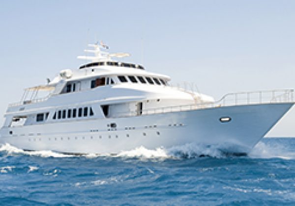 <span style="color: #ffffff;">MARITIME SECURITY</span>